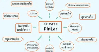โครงสร้างคอนเทนต์แบบ Pillar + Cluster สำหรับธุรกิจท้องถิ่นในไทย (ตัวอย่างหัวข้อและสคีมา)