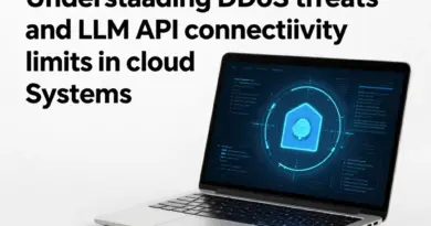 ทำความเข้าใจภัยคุกคาม DDoS และข้อจำกัดของการเชื่อมต่อ LLM API ในระบบคลาวด์