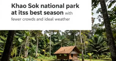 The Best Time to Visit Khao Sok for Fewer Crowds and Better Weather