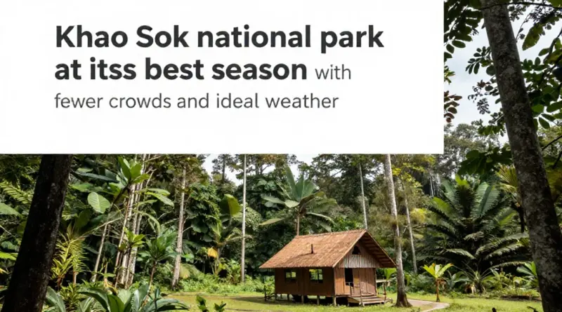 The Best Time to Visit Khao Sok for Fewer Crowds and Better Weather